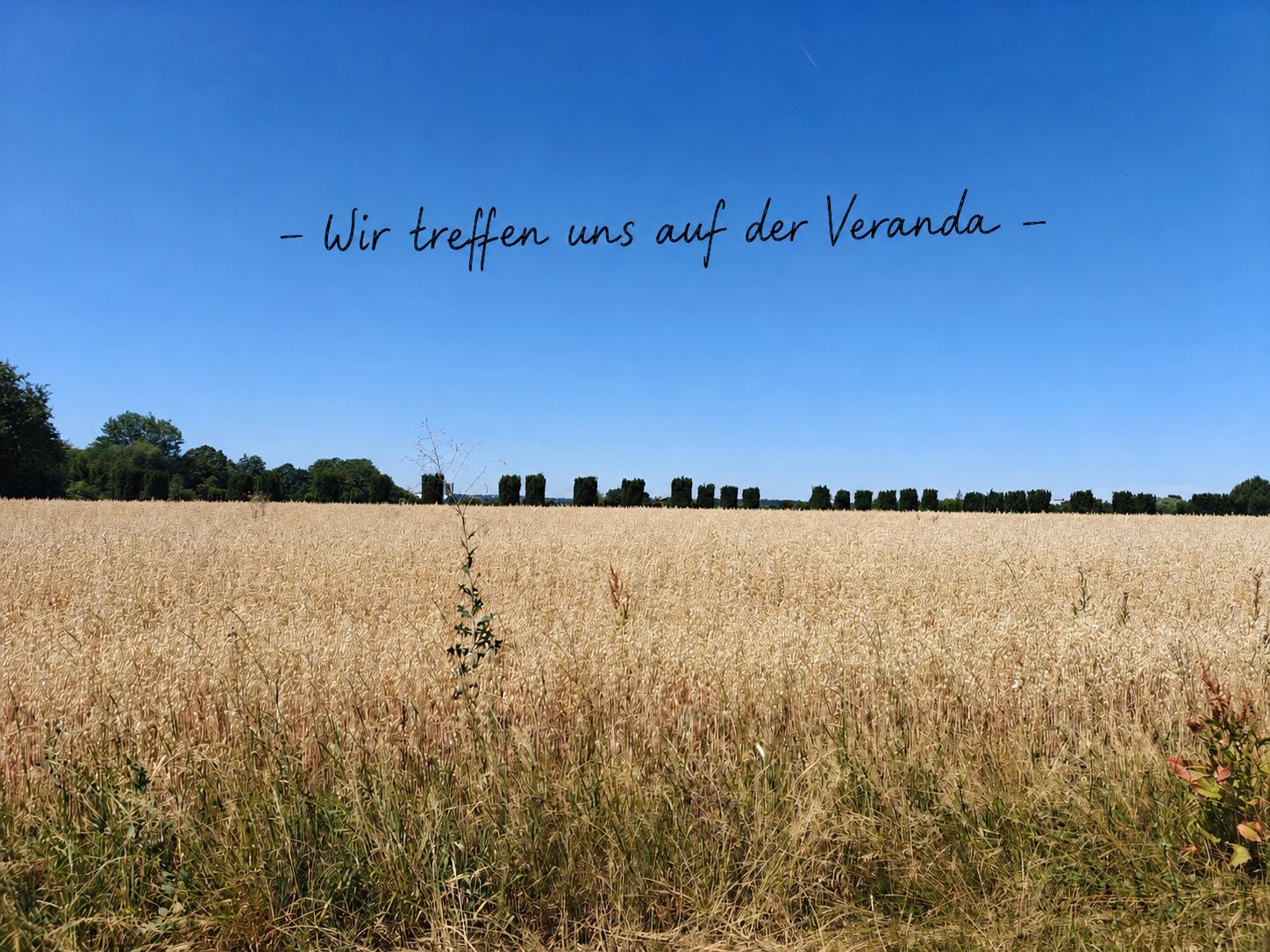 Ein Getreidefeld unter blauem Himmel mit dem Schriftzug: Wir treffen uns auf der Veranda.
